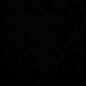 Meet your Posher, Anne